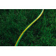 Шланг для полива 2Е AquaFlex Green 3/4" 50 м (2E-GHE34GN50)