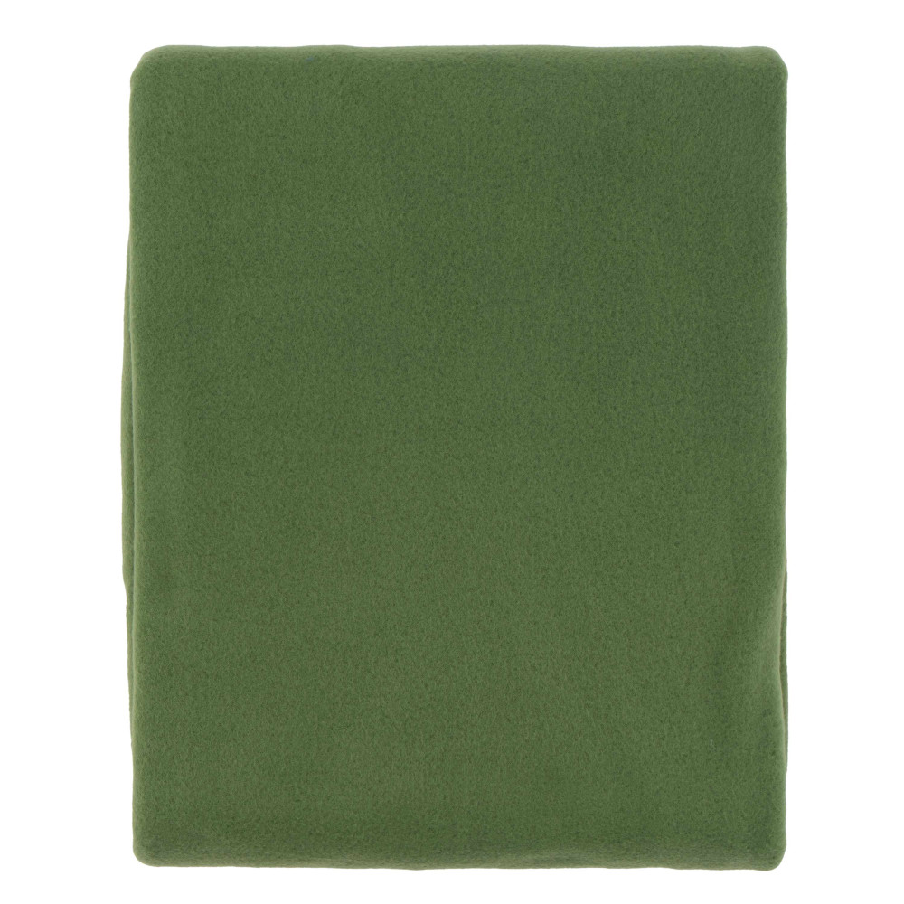 Плед Ardesto Fleece, 160x200 см, 100% полиэстер, зеленый (ART0708PB)