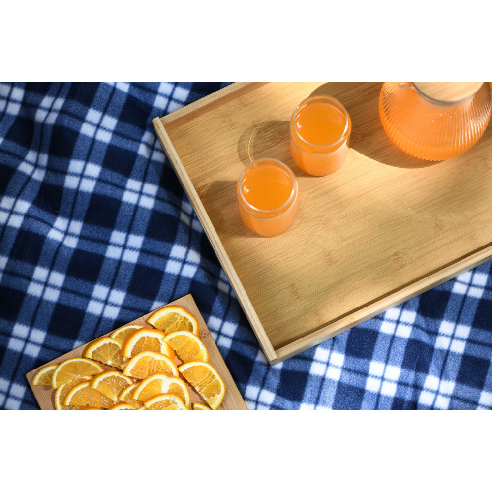 Плед Ardesto Picnic 130х170см, 100% поліестер, клітинка синій (ART0916BC)