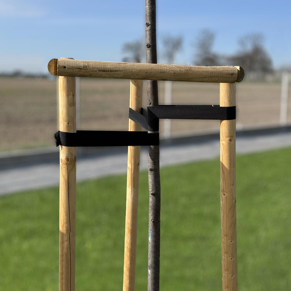 Стрічка для стабілізації дерев Bradas TREE SUPPORT, 50 мм x 25 м (TYTS5025/BK)