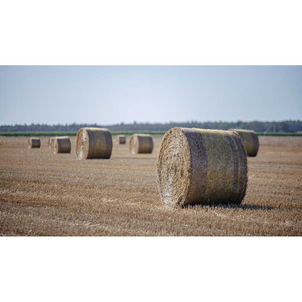 Сельскохозяйственная сетка для тюков Bradas BALER NET PLUS, 1,25x3000 м (AK-BNP125X3000)