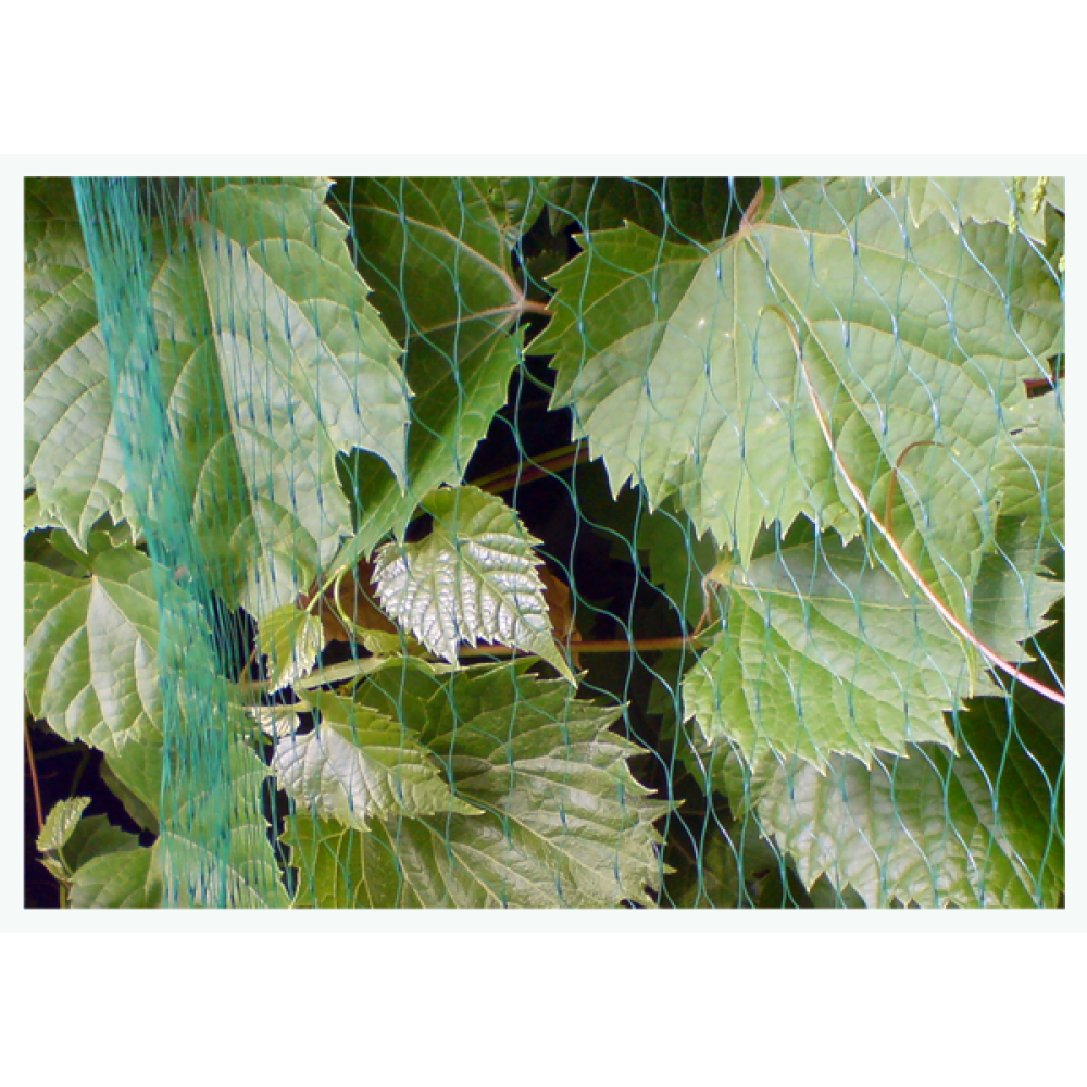 Сітка для захисту від птахів Bradas BIRD NET 7 г/м² 5x10 м AS-BN71919510