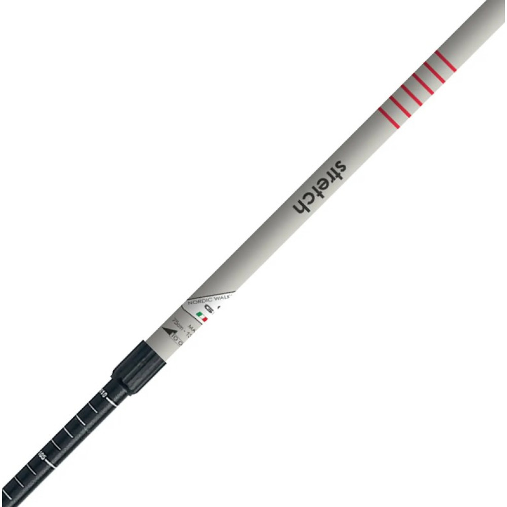 Палки для скандинавской ходьбы Gabel Stretch Ice (7008352630000) (DAS301697)