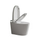 Напольный унитаз-биде с электронным управлением Koer TB-0202 Smart 680x405x455mm со встроенным бачком (KR6072)