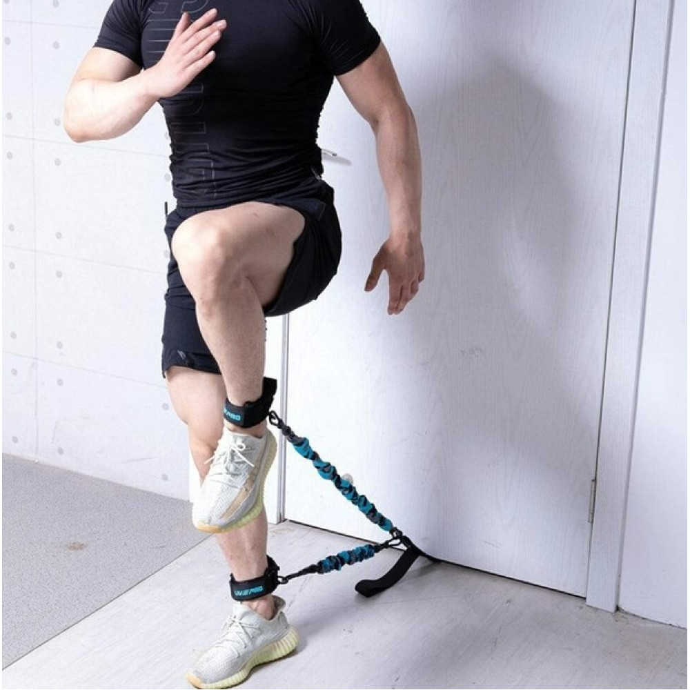 Еспандер LivePro MULTIFUNCTIONAL TRAINING чорний, блакитний Уні 6x11x40см LP8427