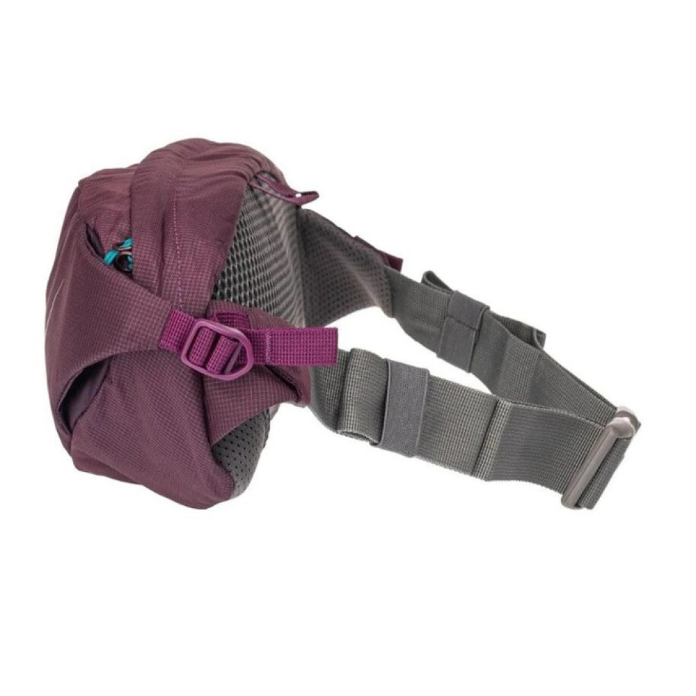 Сумка на пояс Lowe Alpine Fjell 4, Berry (LA FAE-92-BY-4)