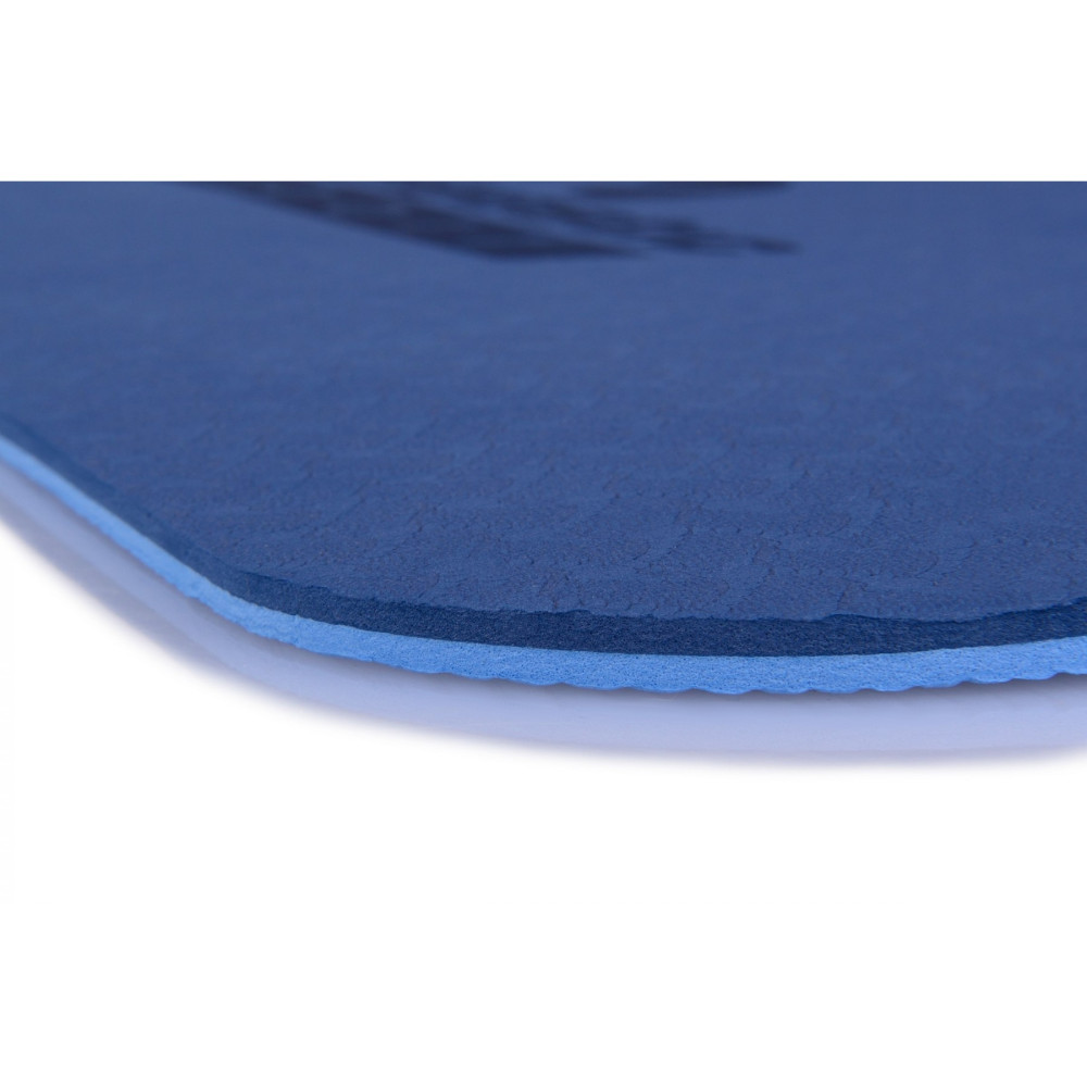 Килимок спортивний Majestic Sport TPE 6 мм для йоги та фітнесу Blue/Sky Blue (GVT5010/B)