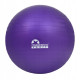 Мяч для фитнеса (фитбол) Majestic Sport 65 см Anti-Burst GVP5028/V