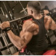 Лямки для тяги RDX S4 Gym Cotton Gel Straps Black Plus (WAC-S4B+)