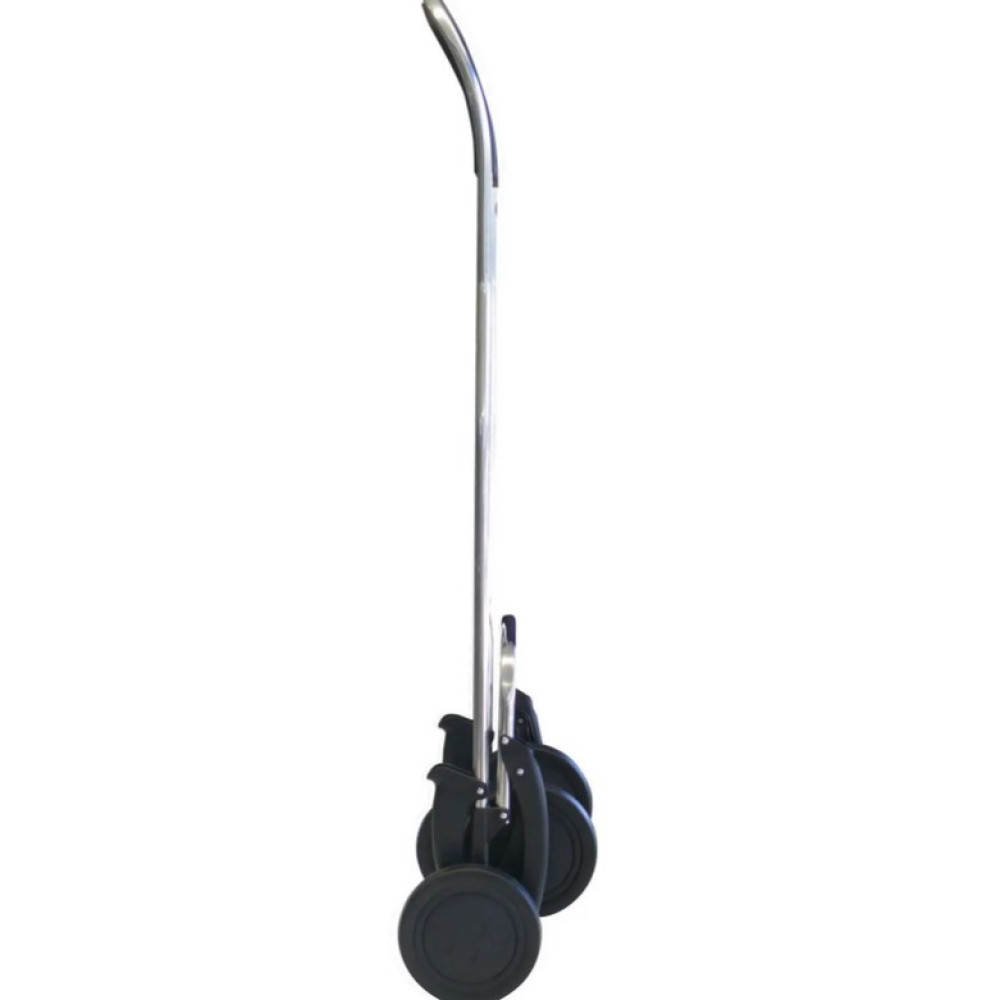 Сумка-візок Rolser Termo Fresh MF Dos+2_46 More (TER038-1008)