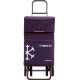 Сумка-візок Rolser Termo Fresh MF Dos+2_46 More (TER038-1008)
