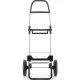 Сумка-візок Rolser I-Max MF 2LRSG 43 Klein (IMX308-1062)