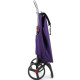 Сумка-тележка Rolser I-Max MF 2LRSG More (IMX308-1008)