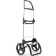 Сумка-тележка Rolser I-Max MF 2LRSG More (IMX308-1008)
