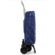 Сумка-візок Rolser Igloo Termo MF 4 Klein (IGL004-1062)