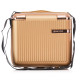 Бьюті-кейс Semi Line 16L Gold (T5663-2) (DAS302639)