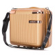 Бьюті-кейс Semi Line 16L Gold (T5663-2) (DAS302639)