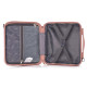 Бьюти-кейс Semi Line 16L Rose (T5664-2) (DAS302644)