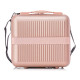 Бьюти-кейс Semi Line 16L Rose (T5664-2) (DAS302644)