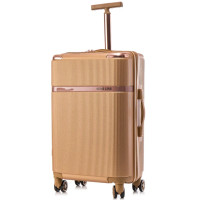 Чемодан Semi Line 24" (M) Gold (T5667-3) (DAS302655)