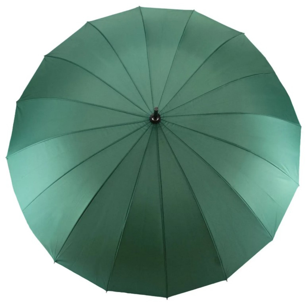 Зонтик Semi Line Green (2512-6) (DAS303082)