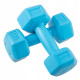 Гантелі Springos Hex 2 x 1 кг (FA1030)