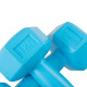 Гантелі Springos Hex 2 x 1 кг (FA1030)