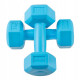Гантелі Springos Hex 2 x 1 кг (FA1030)