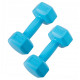 Гантелі Springos Hex 2 x 1 кг (FA1030)