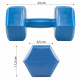 Гантелі Springos Hex 2 x 2.5 кг FA1033
