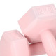 Гантели Springos Hex 2 x 2 кг FA1063
