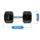 Гантель шестигранна Thunder 20 кг (HEXAGONAL-DUMBBELLS-20KG)