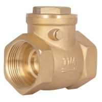 Обратный клапан лепестковый Thermo Alliance Standart 1 1/4" ВВ (низкого давления) SD242W32