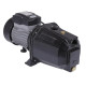 Насос самовсасывающий центробежный Thermo Alliance D-JETm100M