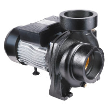 Насос поверхностный центробежный Thermo Alliance CPm300/4