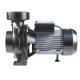 Насос поверхностный центробежный Thermo Alliance CPm300/4