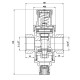 Редуктор тиску посилений Thermo Alliance Standart 1/2" ВВ, нікель PN16 SF241W15