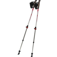 Палки для скандинавської ходьби Tramp Compact TRR-004