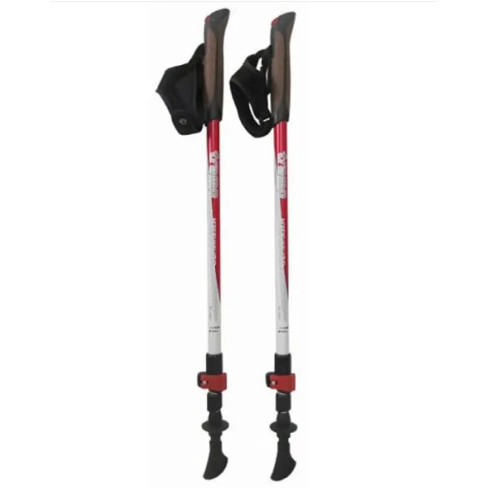 Палки для скандинавської ходьби Tramp Compact TRR-004