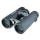Бінокль Vanguard Endeavor ED 10x42 WP (Endeavor ED 1042) (DAS301006)