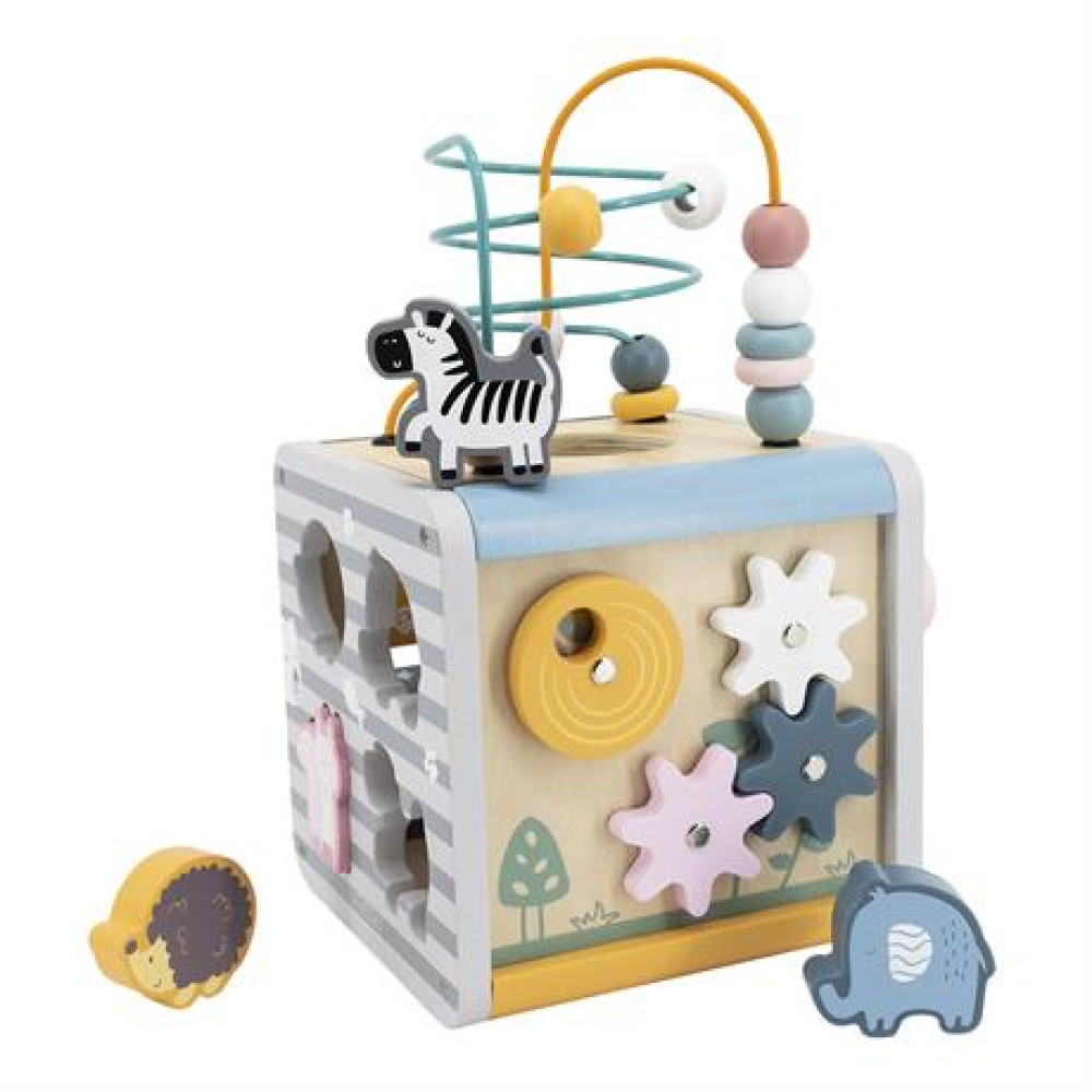 Бизикуб Viga Toys PolarB 5 в 1 (44030)