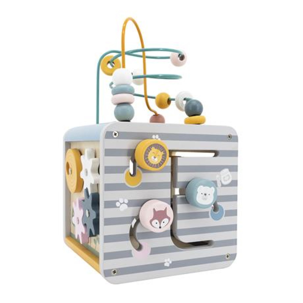 Бизикуб Viga Toys PolarB 5 в 1 (44030)