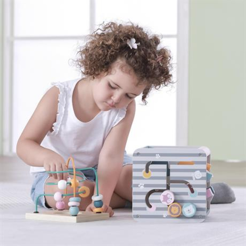 Бизикуб Viga Toys PolarB 5 в 1 (44030)