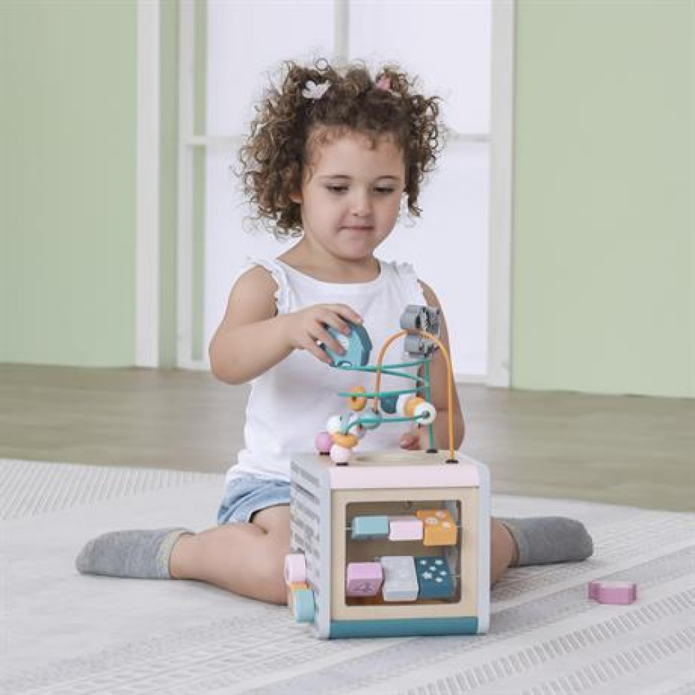 Бизикуб Viga Toys PolarB 5 в 1 (44030)