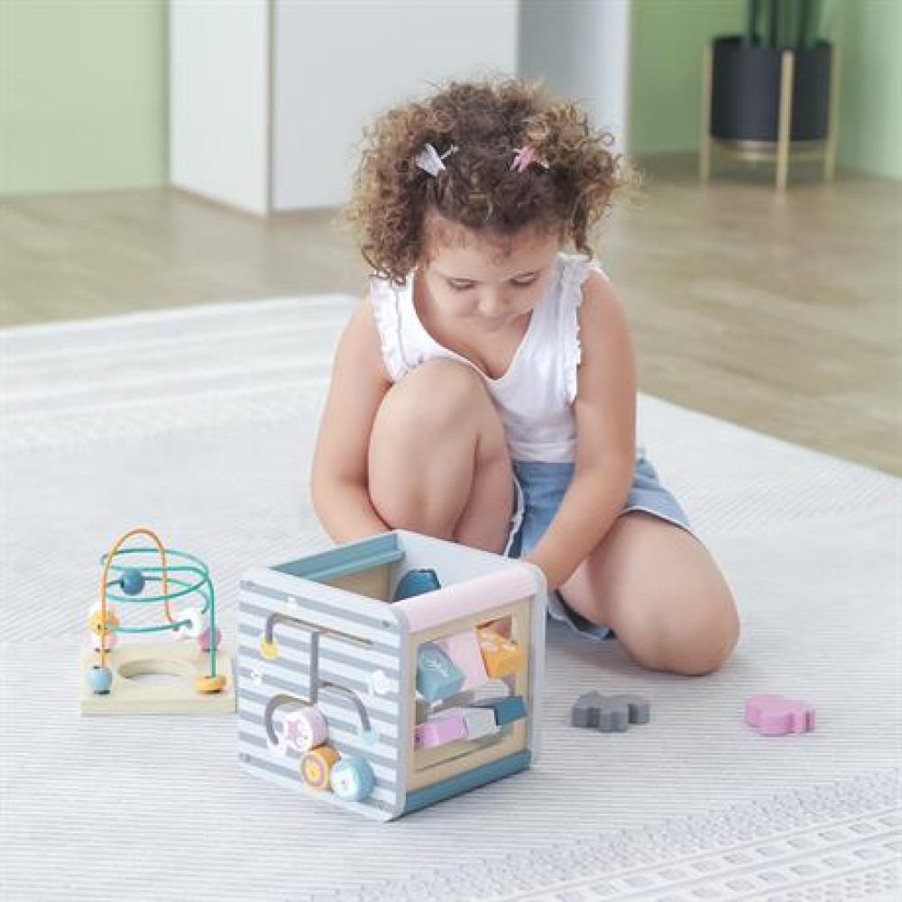 Бизикуб Viga Toys PolarB 5 в 1 (44030)