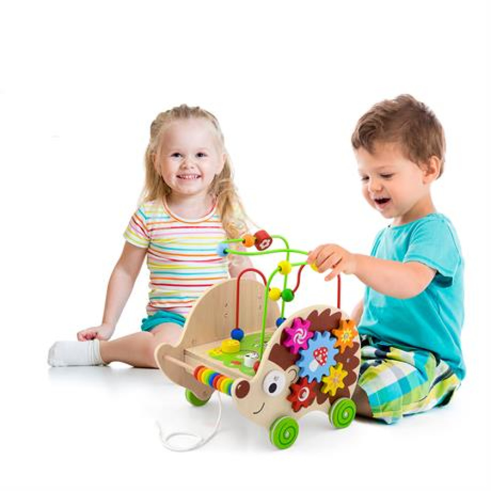 Дерев'яна каталка Viga Toys Їжачок з бізібордом (50012)