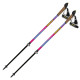 Палиці для скандинавської ходьби Vipole Vario Top-Click QL Violet DLX (P19427) (927593)