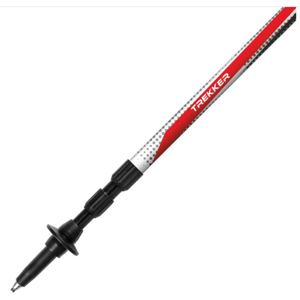 Трекінгові палиці Vipole Trekker Cork (S20 12) (928536)