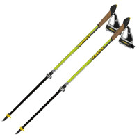 Палки для скандинавской ходьбы Vipole Instructor Vario QL Green DLX (S20 28) (928537)