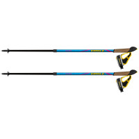 Палки для скандинавской ходьбы Vipole Vario Novice Blue/Violet (S20 34)